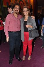 at Strunz and Farah concert by Indigo Live in NCPA on 4th Dec 2012 (29).JPG